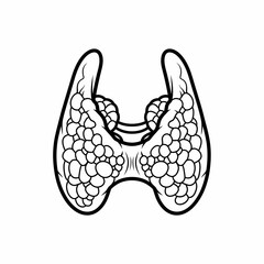 Stylized Thyroid Gland Illustration with Follicles and Distinct Lobes in Black and White.