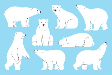 polar bear character collection cartoon poses white bear illustrations for projects