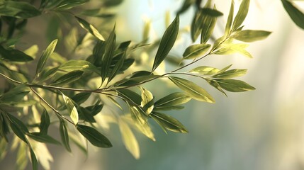 Fresh Green Leaves on a Branch with Soft Sunlight and a Blurred Natural Background