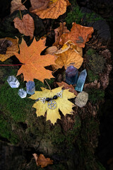 quartz gemstones and amulet in fallen leaves on tree stump, autumn forest natural background....