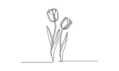Elegant Continuous Line Drawing of Two Tulips on a White Background Perfect for Minimalist Design and Springtime Themes