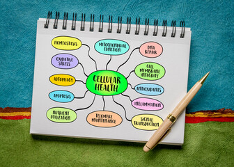 cellular health concept, processes that contribute to the optimal functioning of organism cells,...