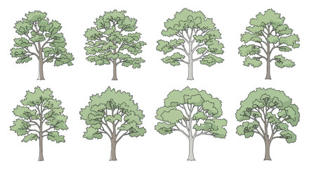 Graphic set of tree plants isolated on a white background.