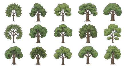 Fototapeta premium A diverse collection of illustrated green deciduous trees.