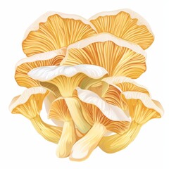 Fresh Cluster of Bright Yellow Mushrooms Growing in Natural Forest Environment