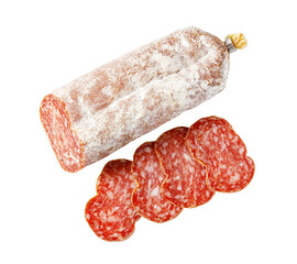 Dry cured salami sausage with sliced salumi meat
