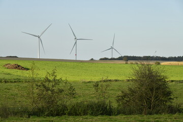 Parc éolien dominant de grandes prairies en automne à Ghislenghien (Ath) 