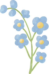 Watercolor blue wildflower botanical clipart