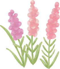 Watercolor Pink and Purple Flowers Illustration, Spring Botanical Clipart