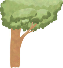 Watercolor Green Tree Illustration, Hand Drawn Nature Element