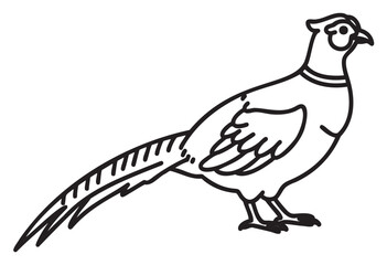Obraz premium Black outline drawing of a pheasant in a side view, featuring detailed feathers and a distinctive long tail.