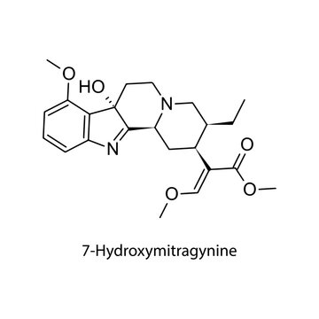 7-Hydroxymitragynine molecular structure, active kratom indole alkaloid partial ?-opioid receptor agonist, clean scientific vector diagram, flat skeletal chemical formula isolated 