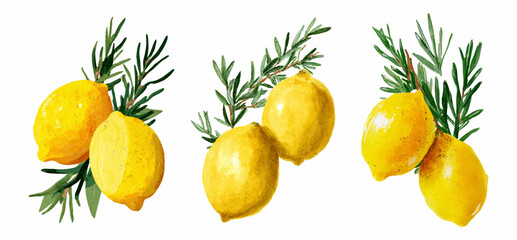 Watercolor set of lemons with a sprig of rosemary. Yellow lemons with green rosemary. Ingredients for cooking. Lemons with spices for limoncello and dishes.
