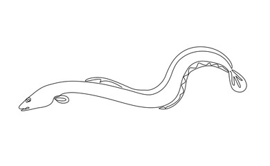 Minimal continuous one line drawing of a long eel-like fish (Unangi), simple aquatic animal illustration with flowing curves and clean monochrome style, Vector Editable stroke