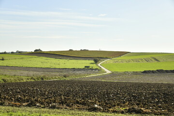 Route en zigzag gravissant une colline de champs en automne &agrave; Ghislenghien (Ath)