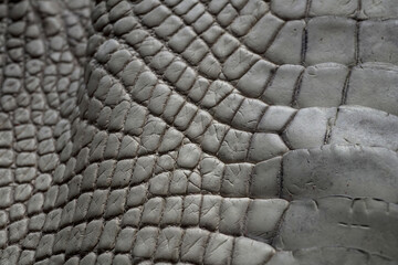 Crocodile Leather Tanned Gray Exotic Skin Material