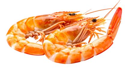 Two whole prawns, vibrant orange-red with white stripes, lie overlapping, against a black background