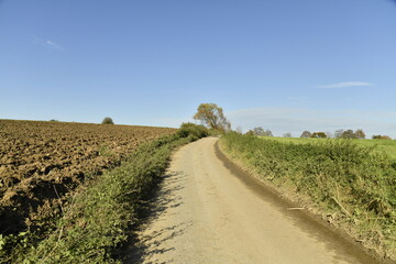 Route de campagne à travers champs et pâturages en automne à Ghislenghien (Ath)