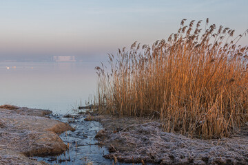 Blick über die Bucht zur Stralsunder Werft im Nebel bei Morgenlicht