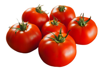 Cluster of fresh vine ripe red tomatoes ready for cooking or salad preparation isolated for food design.