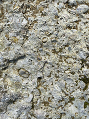 Weathered Stone Wall Texture Showing Cracks and Natural Vertical Patterns
