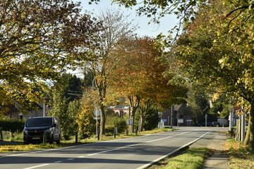 Obraz premium Couleurs de l'automne des arbres le long d'une route en pleine campagne à Ghislenghien (Ath) 