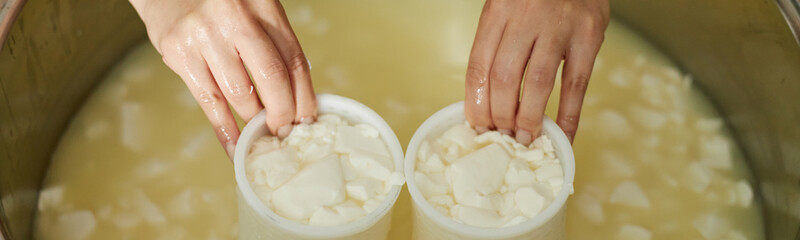 Website header shot of Caucasian adult hands shaping fresh cheese curds in molds submerged in whey, performing traditional cheesemaking process in stainless steel vat, close up on hands and curds