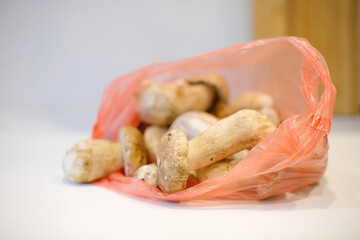 Bag with porcini.Organic Boletus Preparation for Cooking, Healthy Seasonal Food, Vegetarian Diet Ingredient