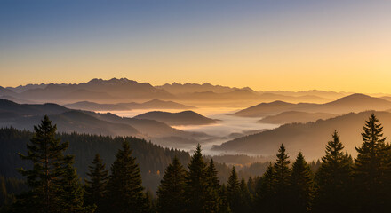 Obraz premium Misty Mountain Landscape at Sunrise With Forest