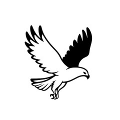 Fototapeta premium Hawk. Hawk simple black and white line art vector logo