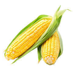 Vibrant Fresh Corn on the Cob with Yellow Kernels Detail