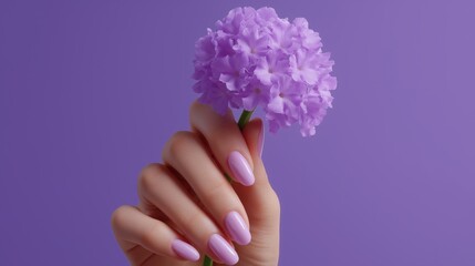 Close-up of a hand holding a small purple flower. the hand is positioned in a way that the fingers are slightly curled and the nails are painted a light pink color.