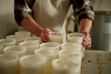 Middle aged Caucasian man arranging cheese molds on production line, hands visible handling plastic containers, working in dairy processing facility, wearing apron