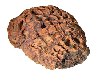 Septarian Nodule. Geology. Fosil rock. on transparent background
