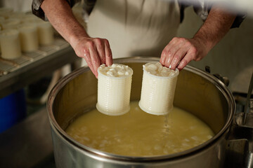 Middle aged Caucasian man shaping fresh cheese curds with both hands using plastic molds over large stainless steel vat in artisanal cheese production facility