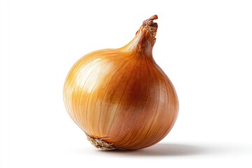 Single onion, golden brown, smooth skin,  isolated white