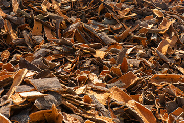Stack of natural cork ready for processing and sale, harvested from cork oak trees, used in wine stoppers, crafts, and sustainable products.