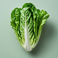 **Crisp and Vibrant Core of Natural Health**: This **striking overhead view** highlights the **fresh, ribbed texture** of a **Romaine heart**, with its **vibrant green leaves** contrasting against the