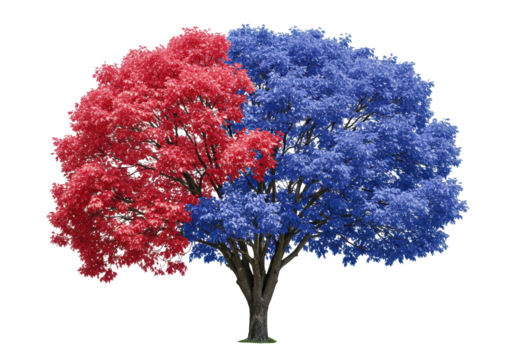 Tree with red and blue leaves isolated on transparent background, political division concept