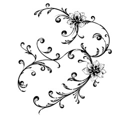 vector illustration of a floral ornament