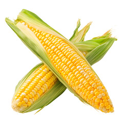 Freshly Cooked Sweet Corn in Golden Yellow Hue