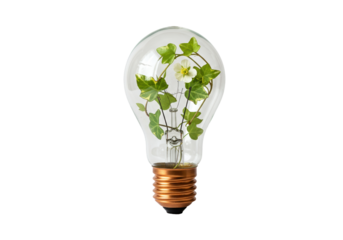 Light bulb with green ivy and flower inside isolated, concept of green energy