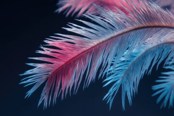 Macro shot of a feather with red and blue hues against a dark background