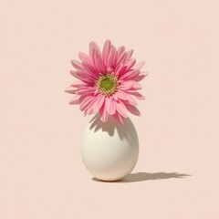 A pink daisy blooms atop a white egg against a pale pink backdrop, casting a shadow