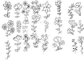 Hand Drawn Flower and Leaf Collection – Botanical Line Art Vector Set