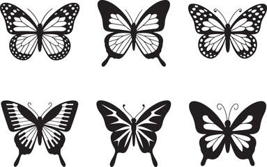 Butterfly Vector Illustration in black and white