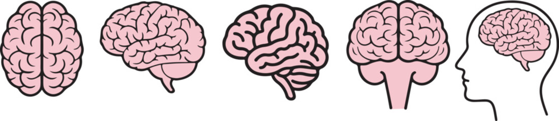 brain icon set,pink glowy humain brain icon neuro icon isolate white brackground