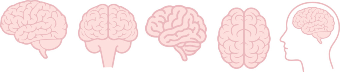 brain icon set, Pink humain brain icon set neuro icon isolate white brackground