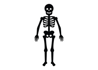 skeleton shadow bone silhouette vector icon