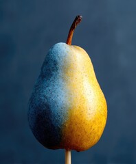 A pear, partially dyed blue and yellow, on a stick, against a dark background